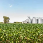Chatham-Kent Farm