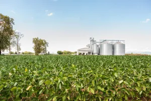 Chatham-Kent Farm
