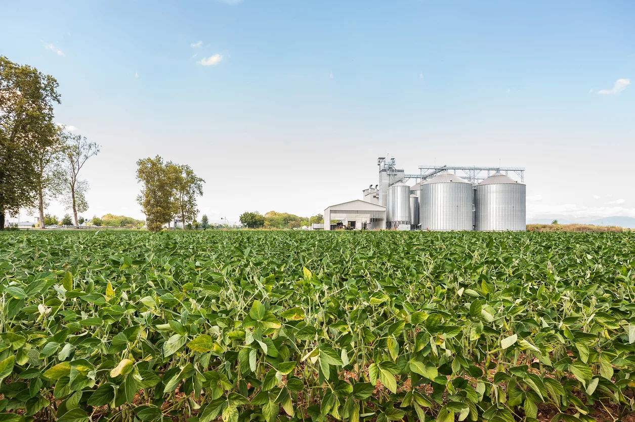Chatham-Kent farm landscape